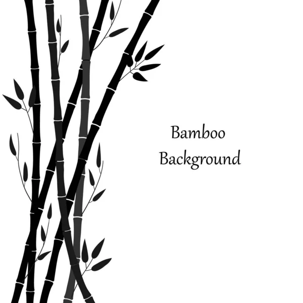Schwarze Bambussilhouette Auf Weißem Hintergrund Minimalistisches Design Bambuspflanze Und Platz — Stockvektor