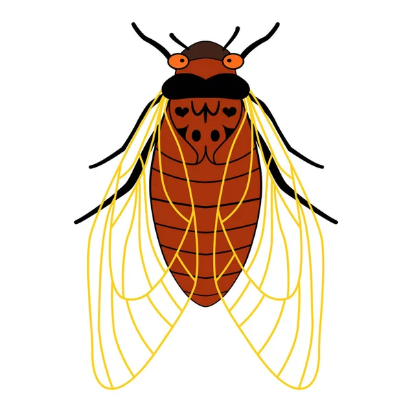 Періодичні Цикади Бруда Картун Ілюструє Комаху Крилами Щупальцями Цикада Пласка — стоковий вектор