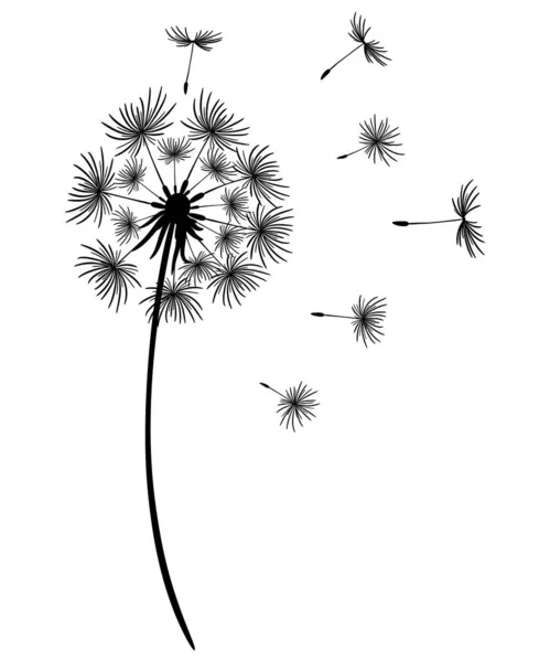 Dandelion Dengan Biji Terbang Siluet Hitam Bunga Dengan Latar Belakang - Stok Vektor