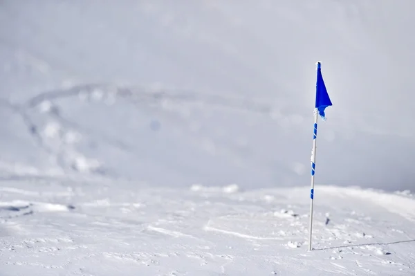 Blå flagg på ett berg i vinter — Stockfoto
