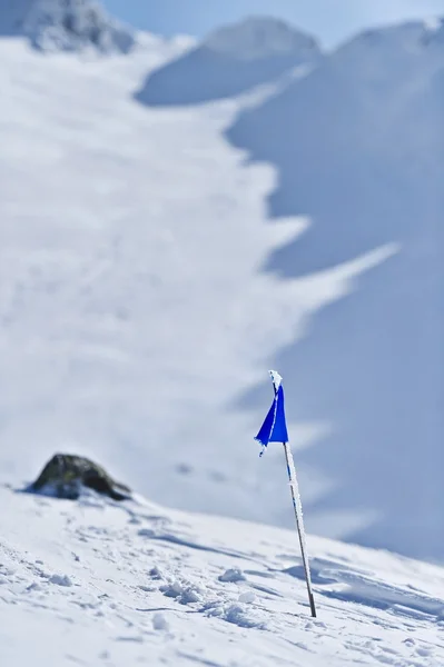 Blå flagg på ett berg i vinter — Stockfoto