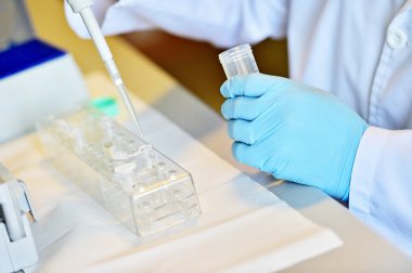 Dna testi performans araştırmacı
