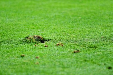 Hasarlı çim futbol sahası üzerinde