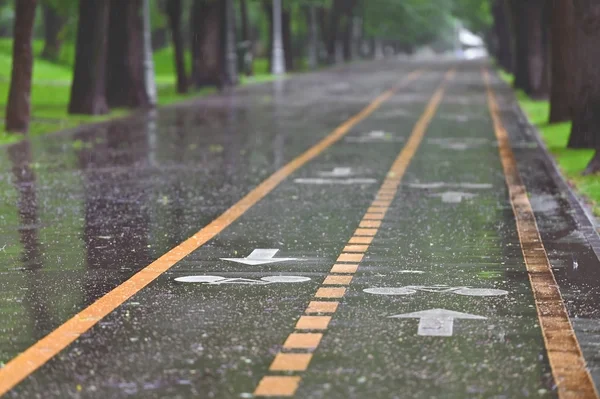 降雨在自行车道上 — 图库照片