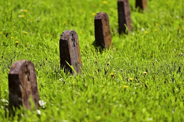 Cementerio de héroes de la Primera Guerra Mundial —  Fotos de Stock