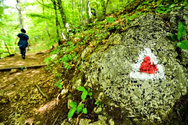 Wanderfarbmarkierung auf einem Wanderweg — Stockfoto