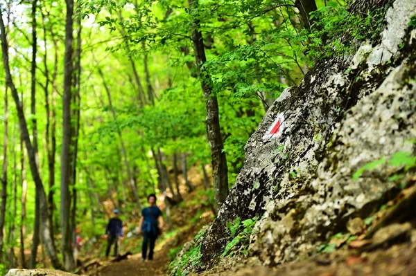 Wanderfarbmarkierung auf einem Wanderweg — Stockfoto