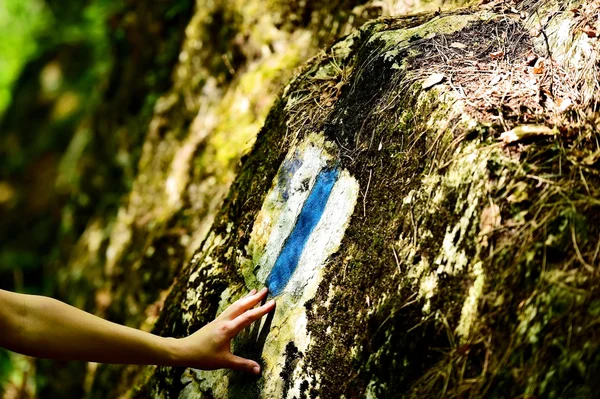 Hiking paint marking on a trail — Stock Photo, Image