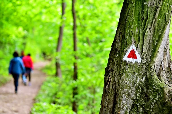 Bir iz üzerinde işaretleme boya hiking — Stok fotoğraf