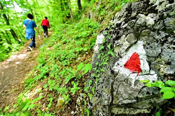 Wanderfarbmarkierung auf einem Wanderweg — Stockfoto