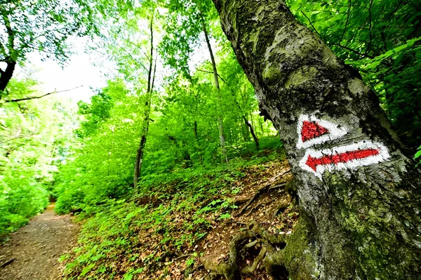 ハイキング歩道上のマーキング塗料 — ストック写真
