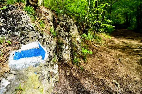 Wanderfarbmarkierung auf einem Wanderweg — Stockfoto