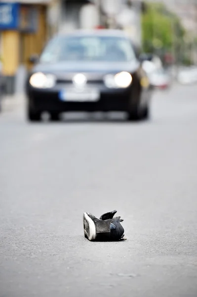 Botník na ulici s automobily v pozadí po nehodě — Stock fotografie