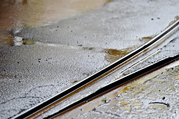 Pista del tranvía durante las precipitaciones —  Fotos de Stock