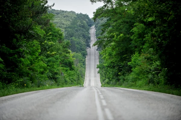 Leere Straße durch den Wald — Stockfoto