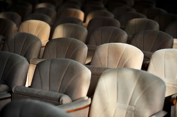 Rows of beige velvet armchairs — Stock Photo, Image