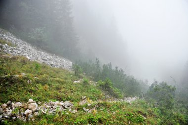 Sis bir dağ Vadisi üzerinde