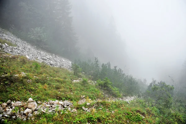 Brouillard sur une vallée de montagne — Photo