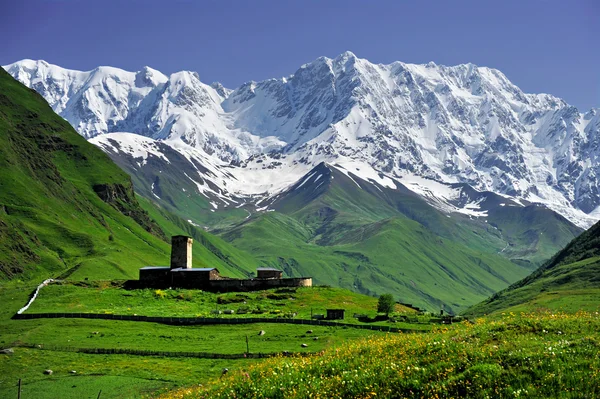 Caucaso Montagna Shkhara vista dal villaggio di Ushguli — Foto Stock