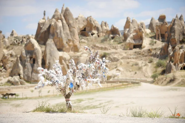 Cappadocia albero dei desideri — Foto Stock