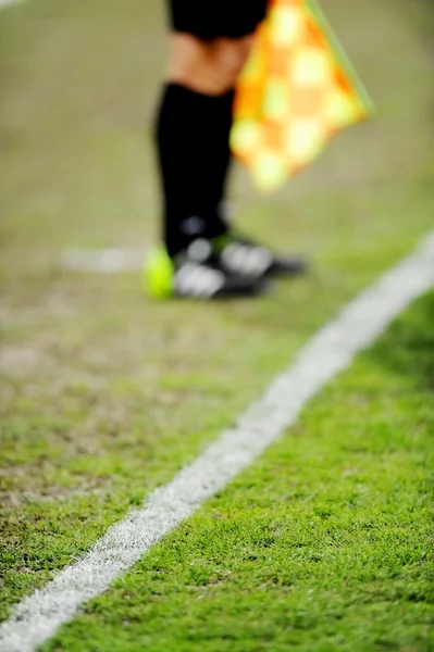 Assistant referee on sideline — Stock Photo, Image