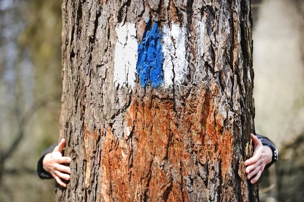 Manos abrazando un árbol con una señal de senderismo — Foto de Stock