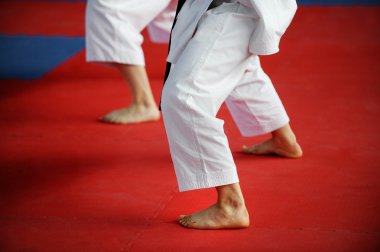 Karate uygulayıcıları rekabet kat
