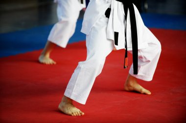 Karate uygulayıcıları rekabet kat