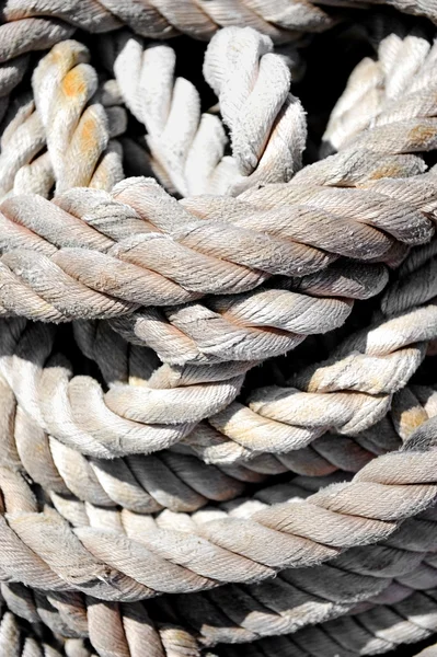 Cordas de mar grandes resistidas — Fotografia de Stock