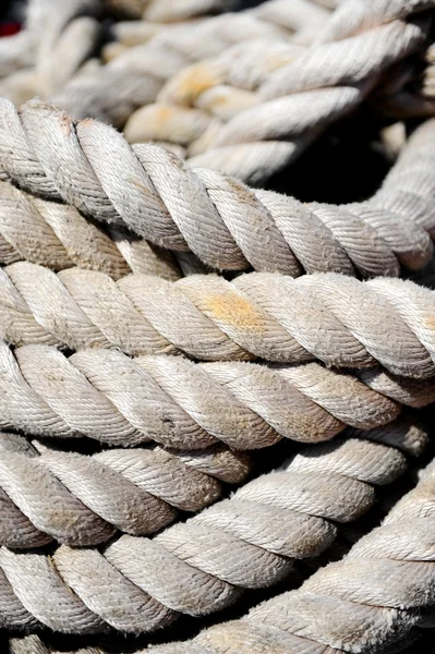 Verweerde zee touwen — Stockfoto