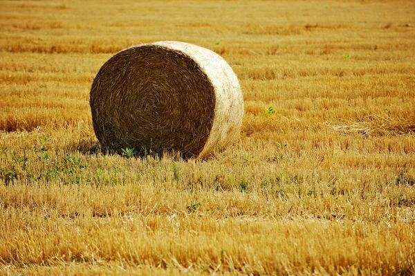 Один тюків сіна — стокове фото