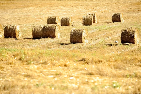 Hay тюків — стокове фото