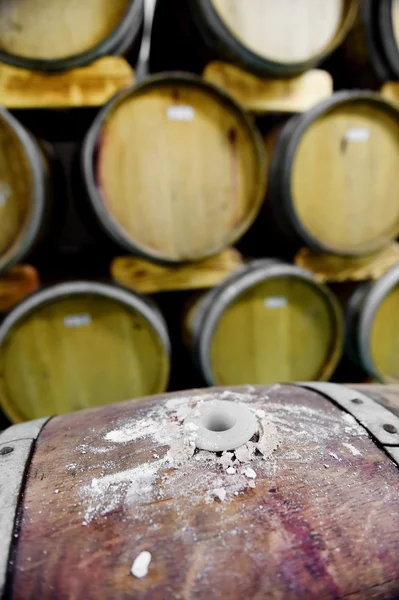 ワインセラーの木のワイン樽 — ストック写真