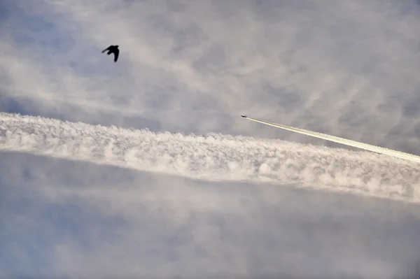 Los trenes de condensación en el cielo del anochecer —  Fotos de Stock