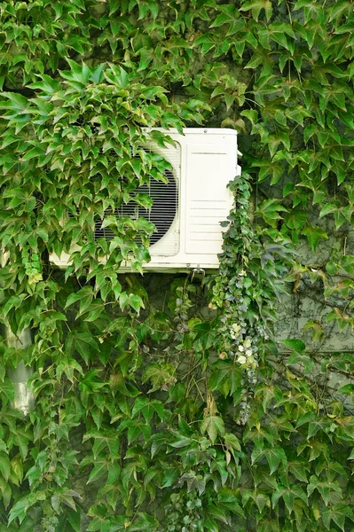 Groene klimop op een muur met air conditioner — Stockfoto