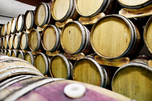 Barris de vinho de madeira na adega — Fotografia de Stock
