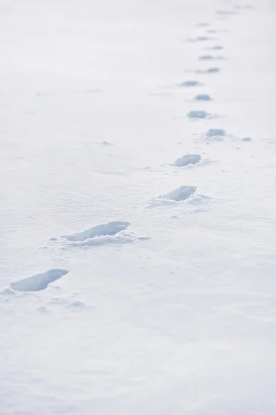 Voetafdrukken in diepe sneeuw — Stockfoto