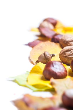 sonbahar doğa kavramı. Ahşap üzerine meyve ve sebze düşer. şükran yemeği