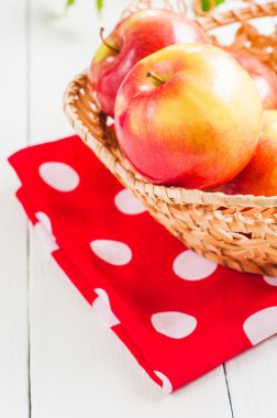 Taze hasat elma. Doğa meyve kavramı