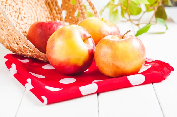 Verse oogst van appels. Natuur vruchten concept — Stockfoto