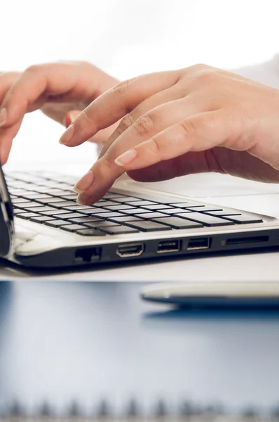 Business person working on computer. white background Stock Photo