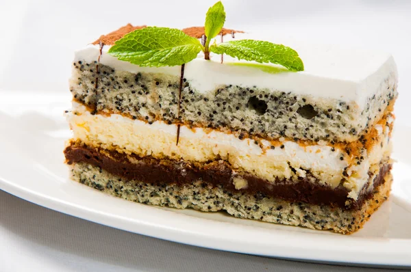 Cake with poppy seed and leaf fresh mint — Stock Photo, Image