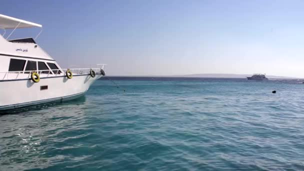 Un pequeño barco a motor de lujo en la sede — Vídeo de stock