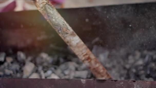 Grillen courgettes en champignon champignons — Stockvideo