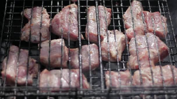 Carne de cerdo barbacoa en la parrilla — Vídeo de stock