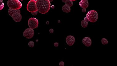 Siyah Arkaplanda Ahududu Uçuşu