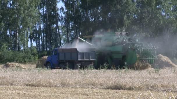 小麦收获采煤机 6 — 图库视频影像