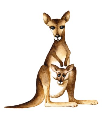 Kanguru çocuk tarzı