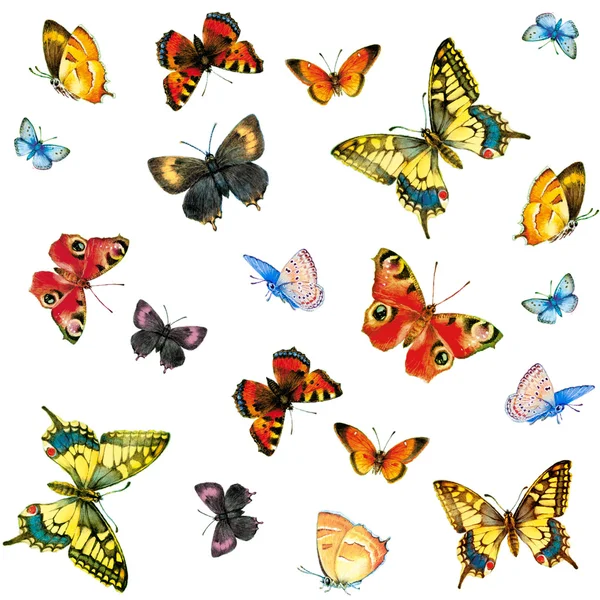 Schmetterlinge Muster Aquarell — Stockfoto