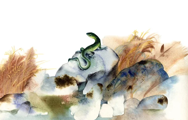 Lizard hand-painted watercolor — Stock Photo, Image